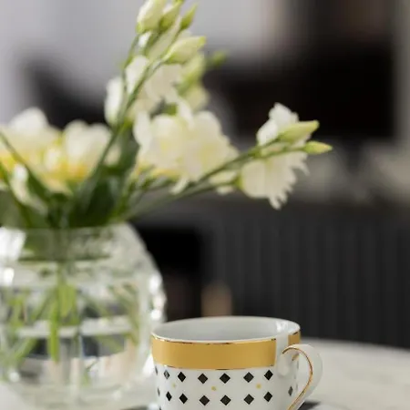 Senatorska By Renters