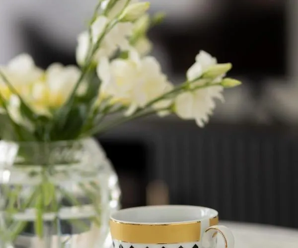 Senatorska By Renters